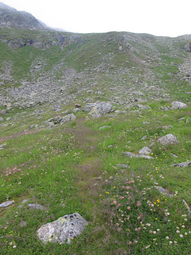 Aufstieg rechts aus dem Tal hinter der Amberger Hütte