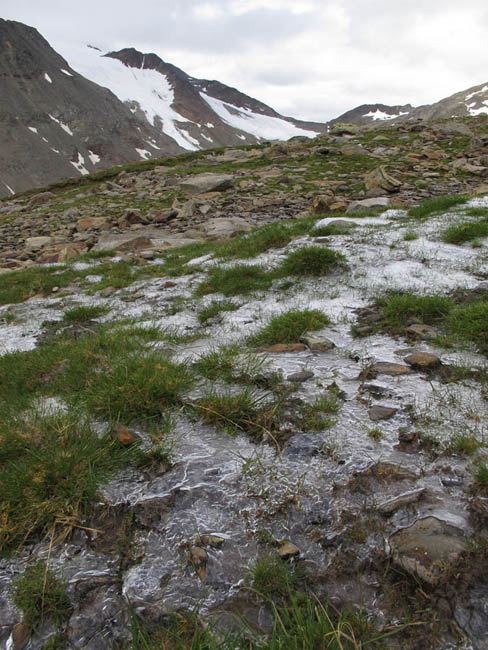 Weg mit gefrorenem Gras zum Seykogel.