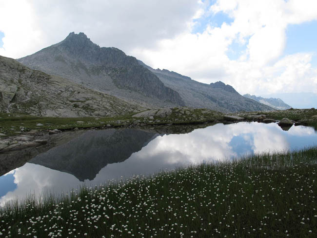 Und schöne Wasserpiegelungen.