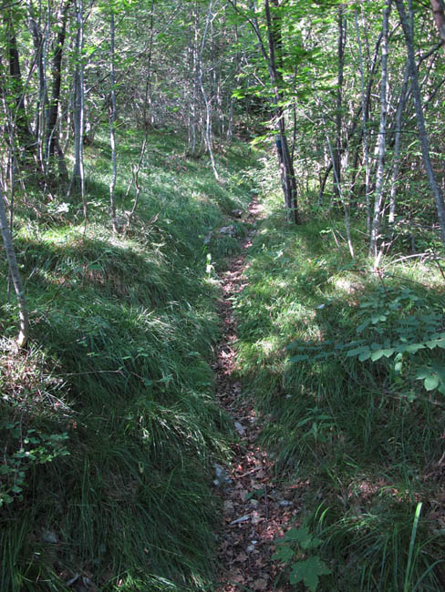 Durch die Büsche hinter Lodrino