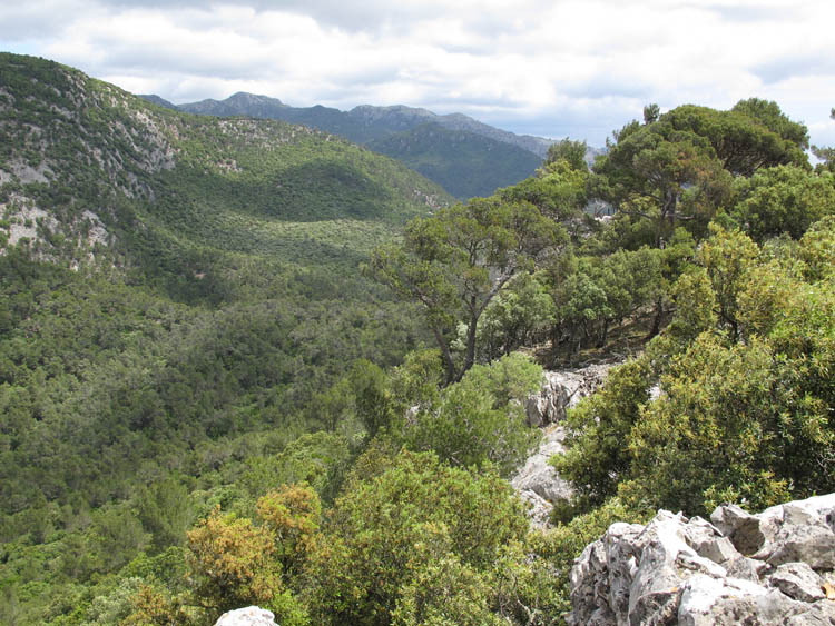 Blick vom Coll de Sant Jordi gen Osten